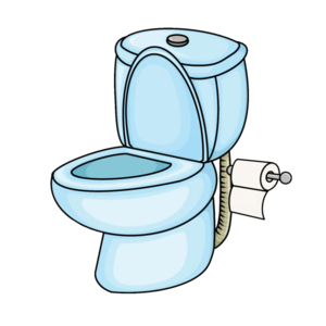 toilet bowl